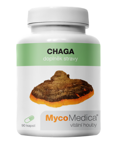 Chaga