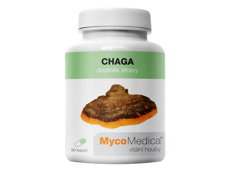 Chaga