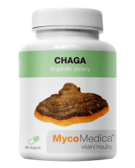 Chaga