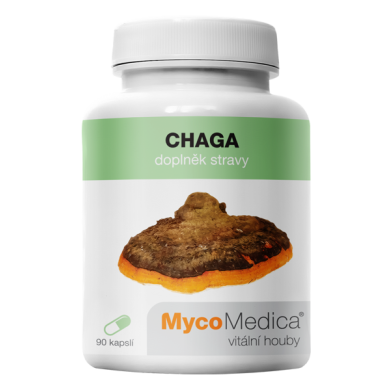 Chaga