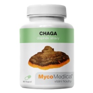 Chaga