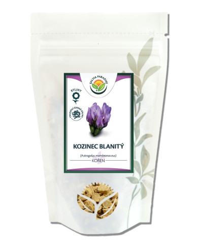 Kozinec blanitý - Astragalus kořen