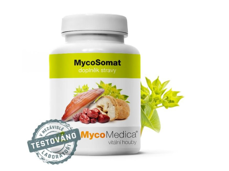 MycoSomat | MycoMedica