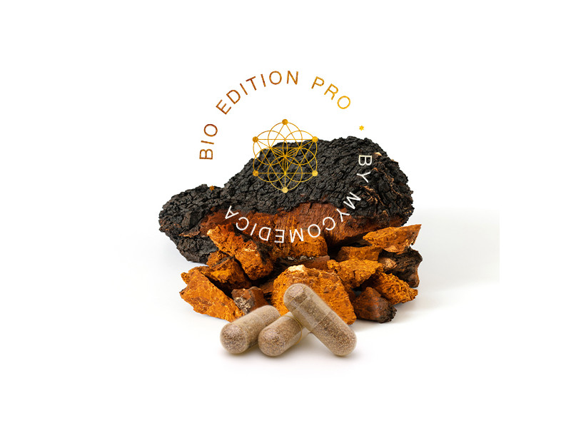 Chaga PRO